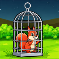 Squirrel Rescue from Hunter Cage