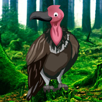 Games2rule Vulture Forest Escape