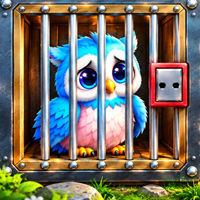 Rescue the Fluffy Owl