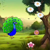 Help To Visit Peacock Pal