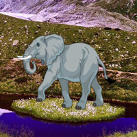 Assist The Animal 03 HTML5