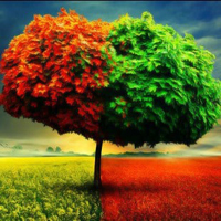 Global Seasonal Place Escape HTML5