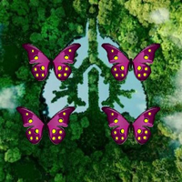 Density Amazon Forest Escape HTML5