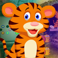 G4k Weary Tiger Rescue