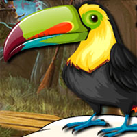Avm Cute Toucan Bird Escape 