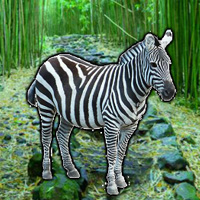 WowEscape Save the Zebra
