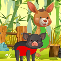 G2M Bamboo Bear Freedom Quest