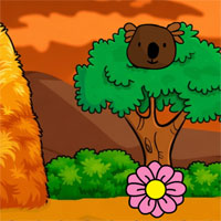 The Yorkshire Pig Great Escape