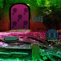 Ruins Forest Adventure Escape