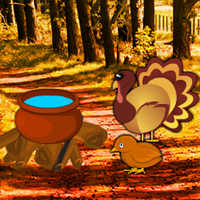 Turkey Forest Return Escape